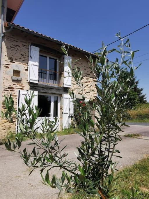 La Grange De Pierrot Villa Saint-Bazile Exterior photo